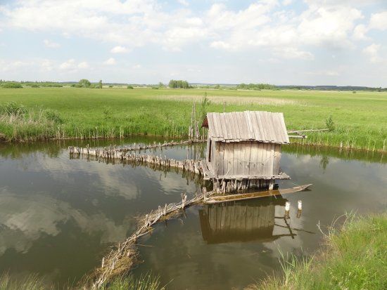 Federseemuseum
