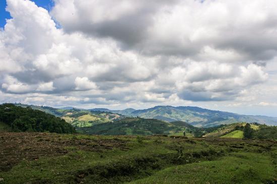 La Reserva Nacional Forestal Bosque de Yotoco