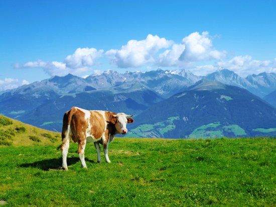 Skigebiet Kronplatz