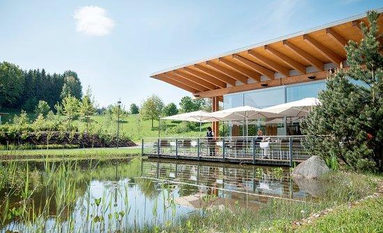 Restaurant Aqarium
