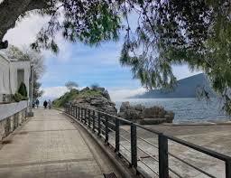Pet Danica Walkway