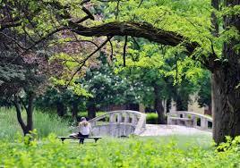 Archbishop's Garden