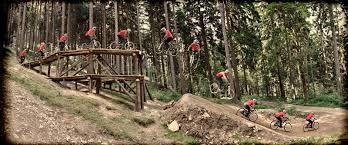 Bike-Park Jeschken / Ještěd