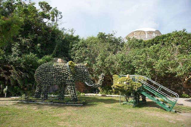 Zoo von Okinawa