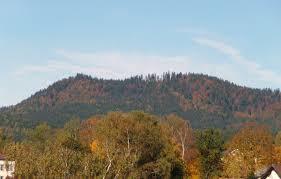 Hennenkobel