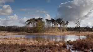 Overasseltse en Hatertse vennen