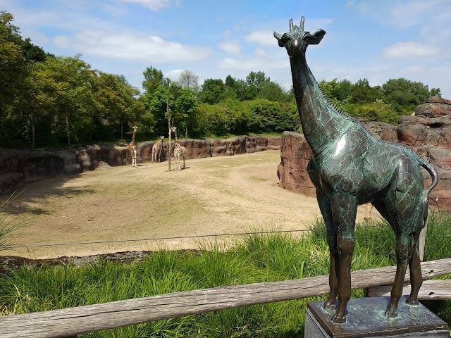 GaiaZOO