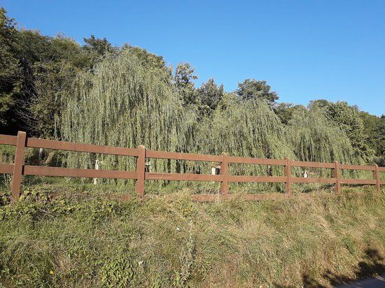 Borgo di Mustonate