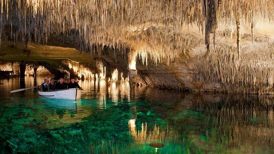 Coves del Drach