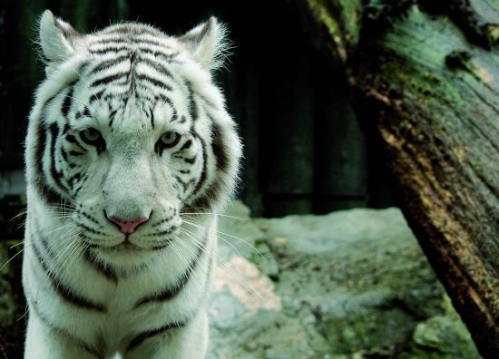 Zoo Liberec
