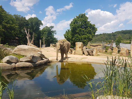 Zoo Prag